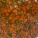 Lampara by Vidrio Millefiori, Peill & Putzler, Mid-century, Naranja, 70's –