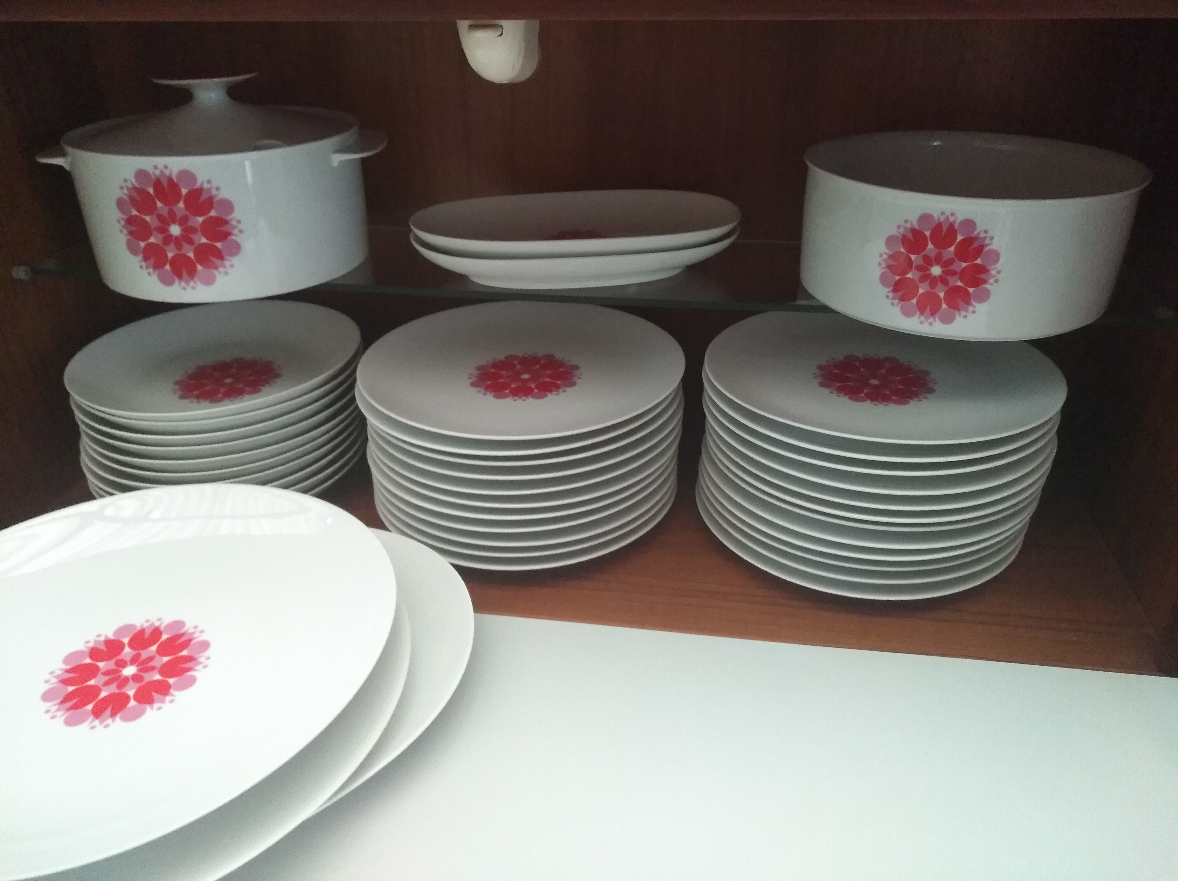 Set of 11 dinner plates from the 1970s of Thomas Germany