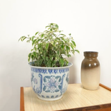 Patterned vintage flowerpot