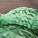 Souptureen and dish in cabbage slip