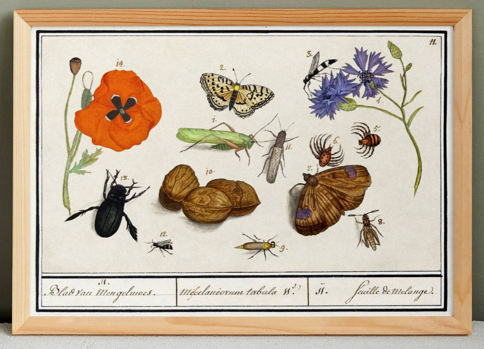 Set of 4 small posters, based on engravings from 1610