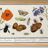 Set of 4 small posters, based on engravings from 1610