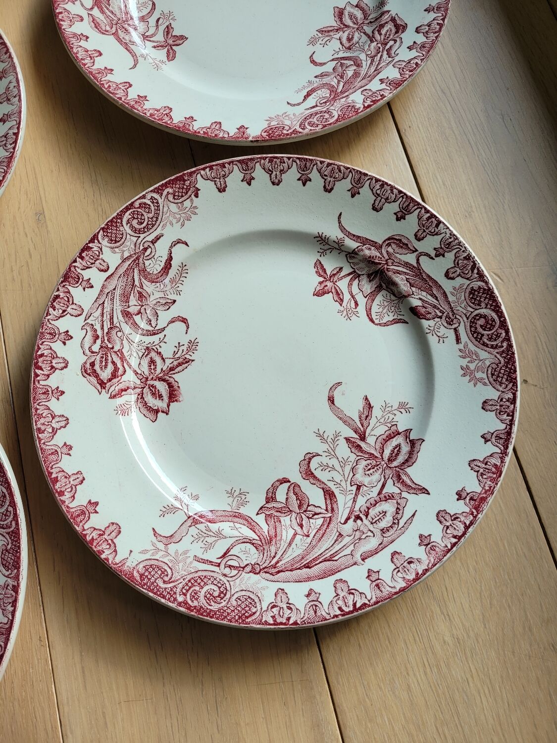 Lot de 5 assiettes plates Terre de fer Ste Amandinoise Iris