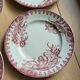 Lot de 5 assiettes plates Terre de fer Ste Amandinoise Iris