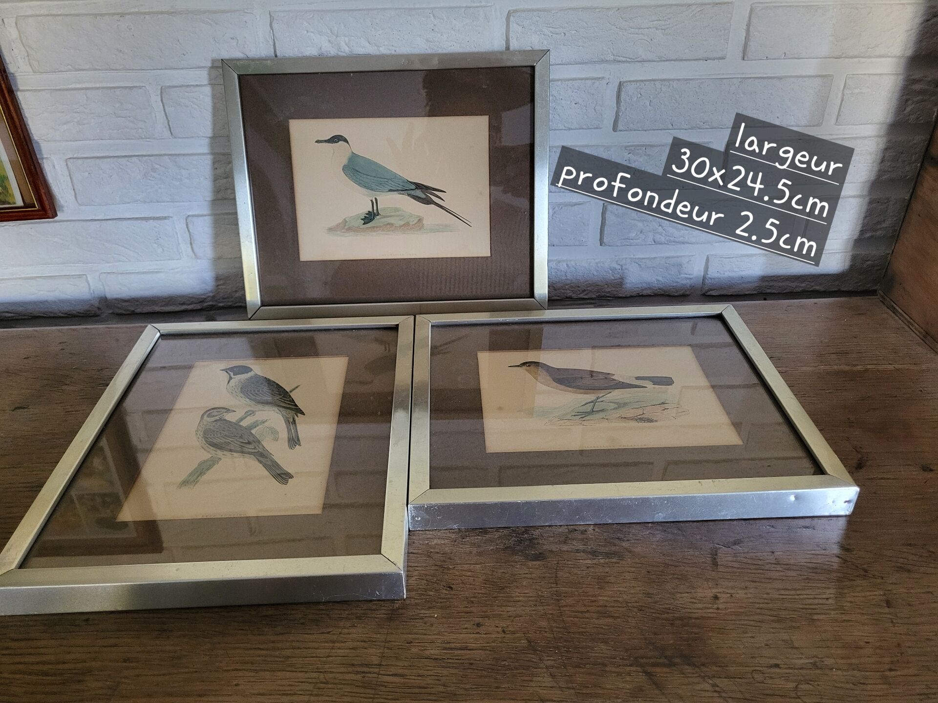 Bitterness birds