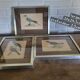 Bitterness birds