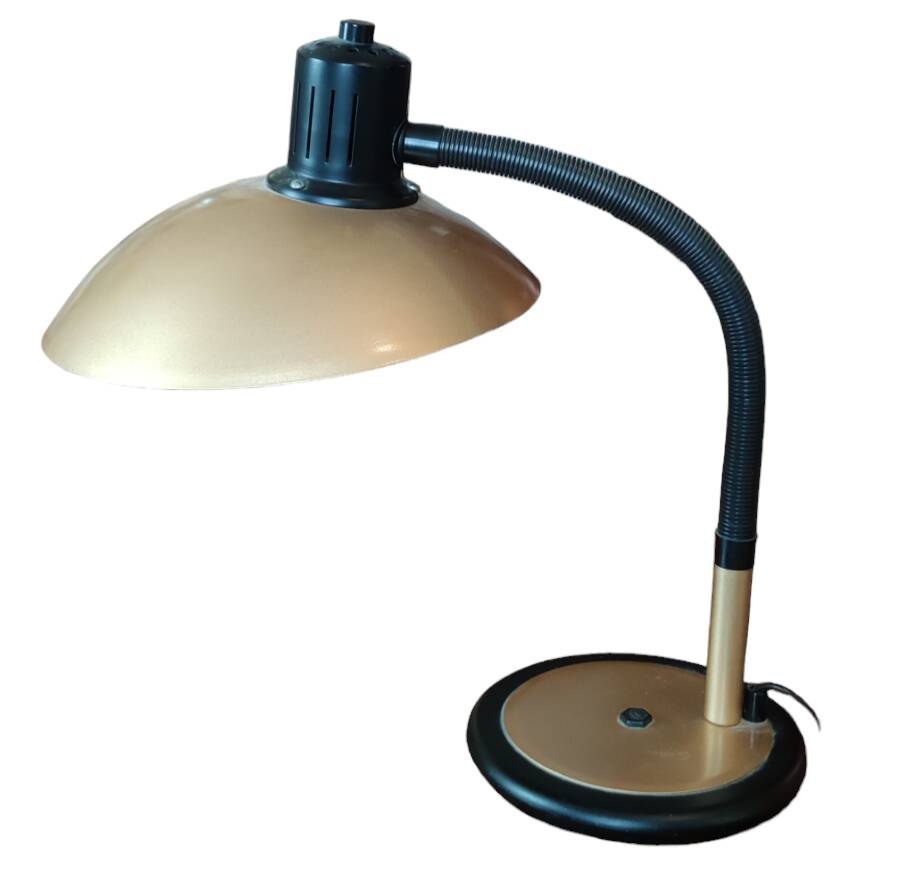 Large vintage adjustable articulated lamp