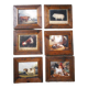 6 oleograph painting Brokkpace Cows Hens Pigs