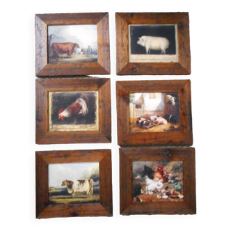 6 oleograph painting Brokkpace Cows Hens Pigs