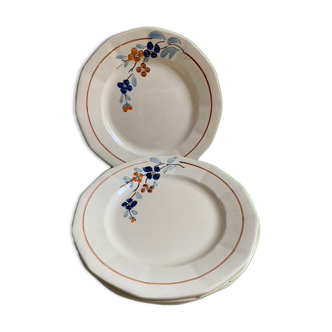 Flat plates Sarreguemines