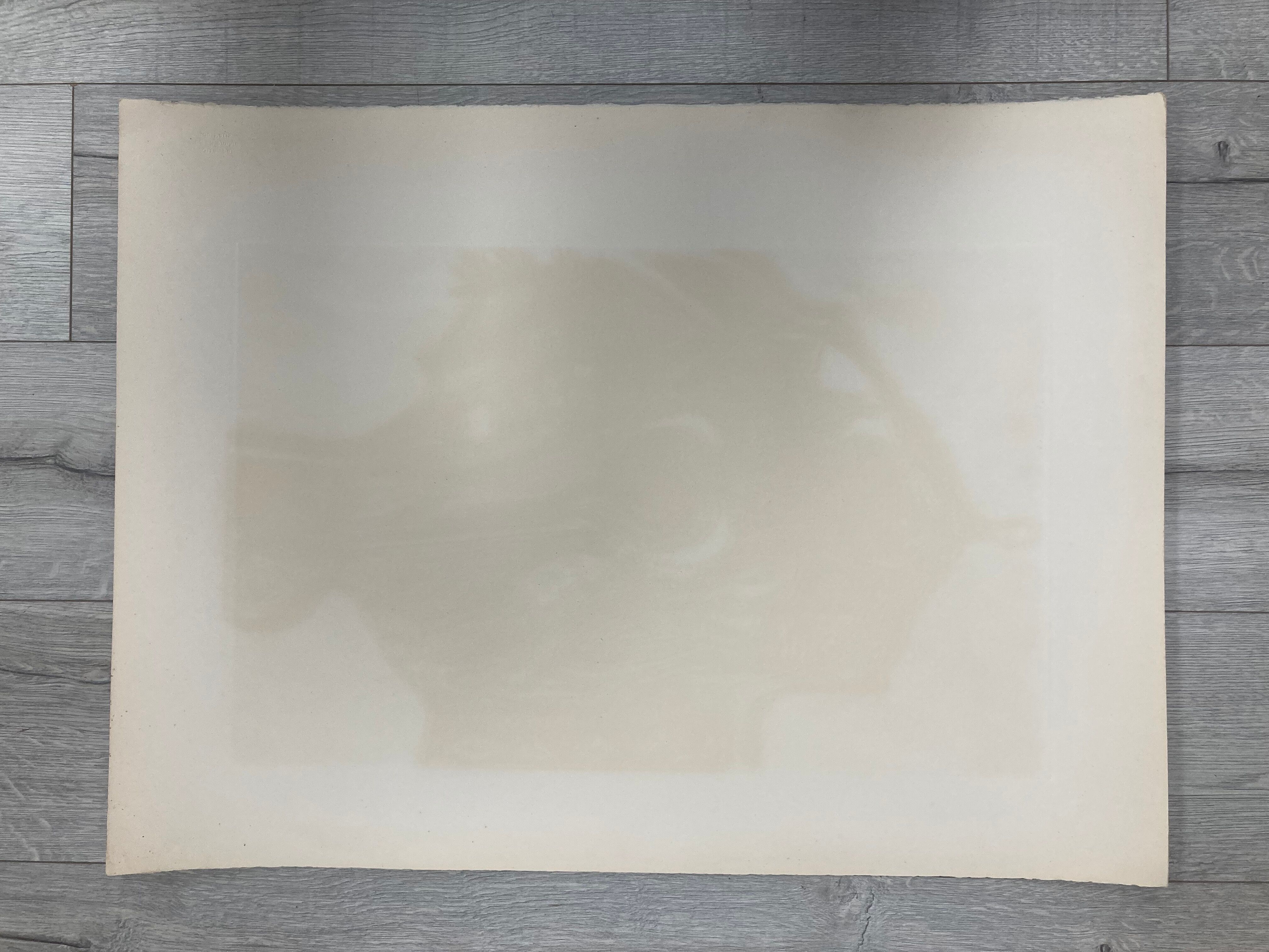 Illustration vintage