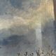 Paysage de printemps avec arbre, signé