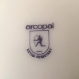 6 arcopal flat plates