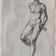 Pencil drawing on paper, sketch of a female nude - Gabriele Vicari