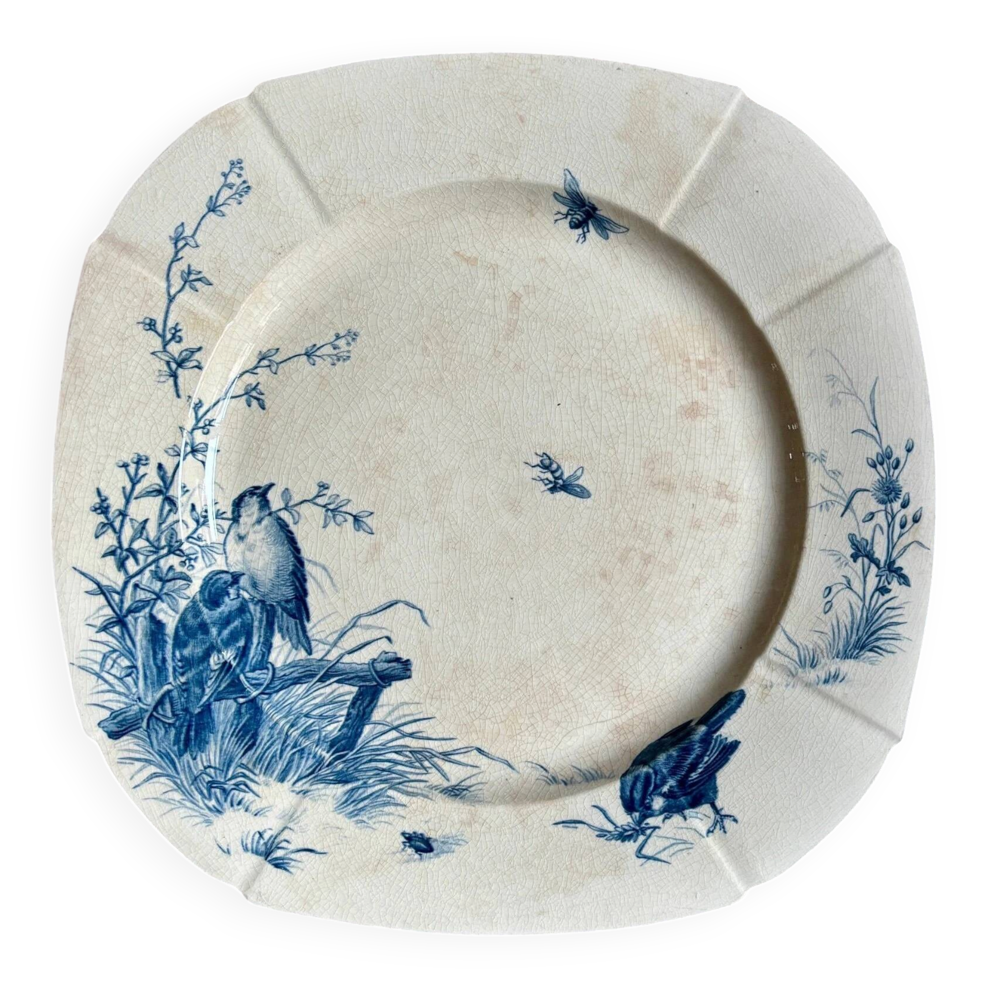 Square flat plate Gien in blue ironstone, service "Birds" around 1870.