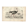 Gravure ancienne 1849 - Autruche par , Afrique, coureur, œuf géant