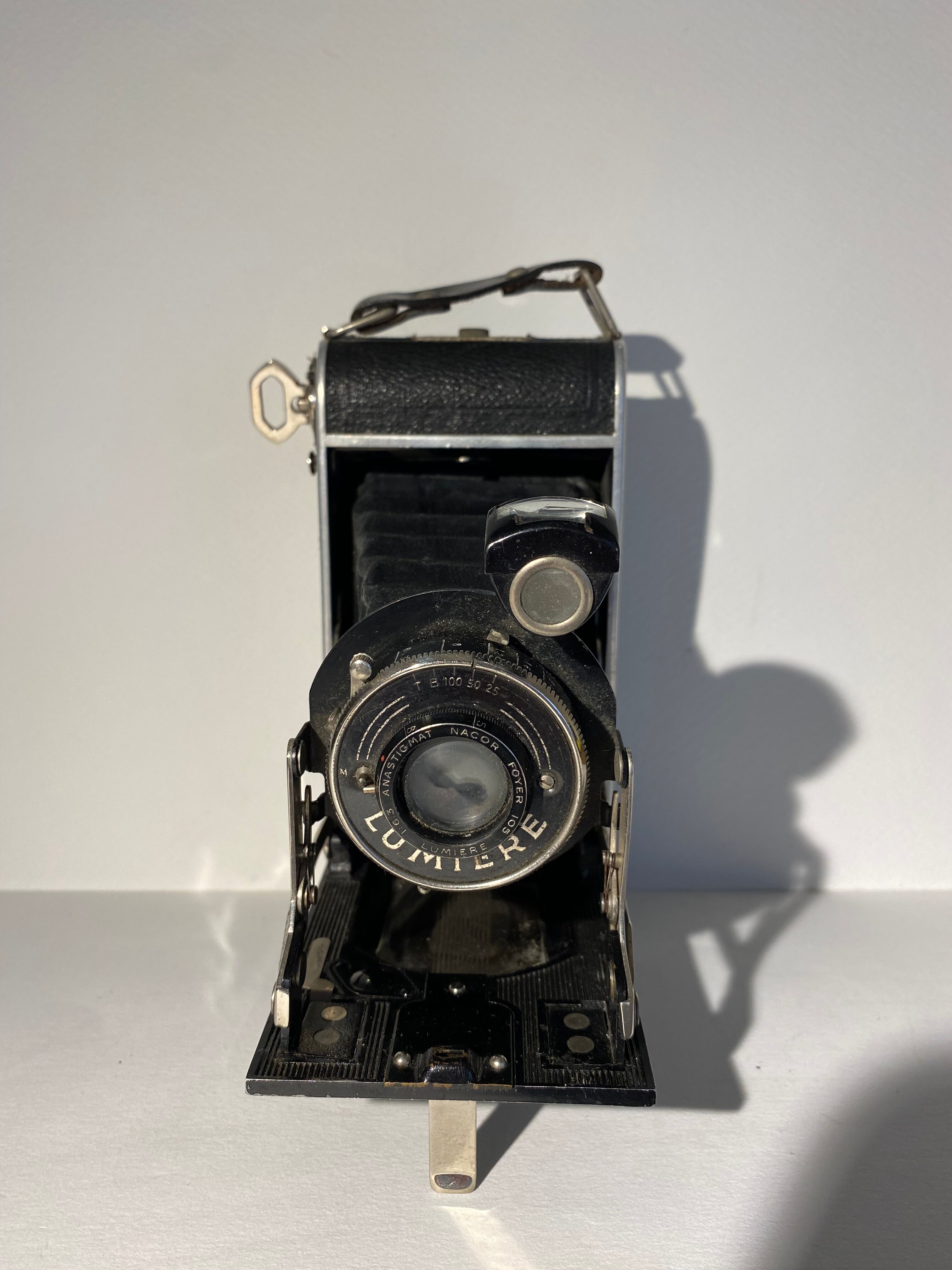Light XX century brand bellows camera