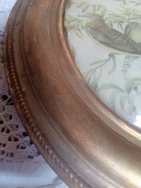 Antique oval curved glass frame 46/36c