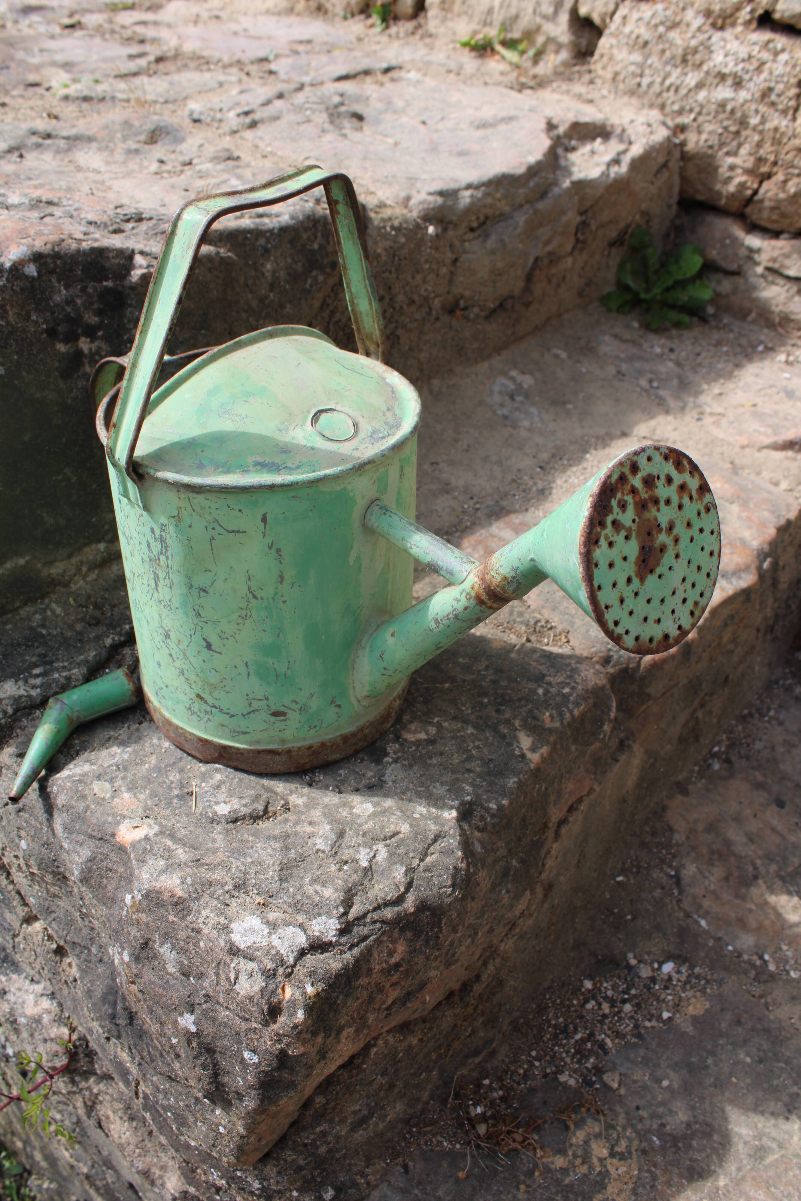 Zinc green watering can