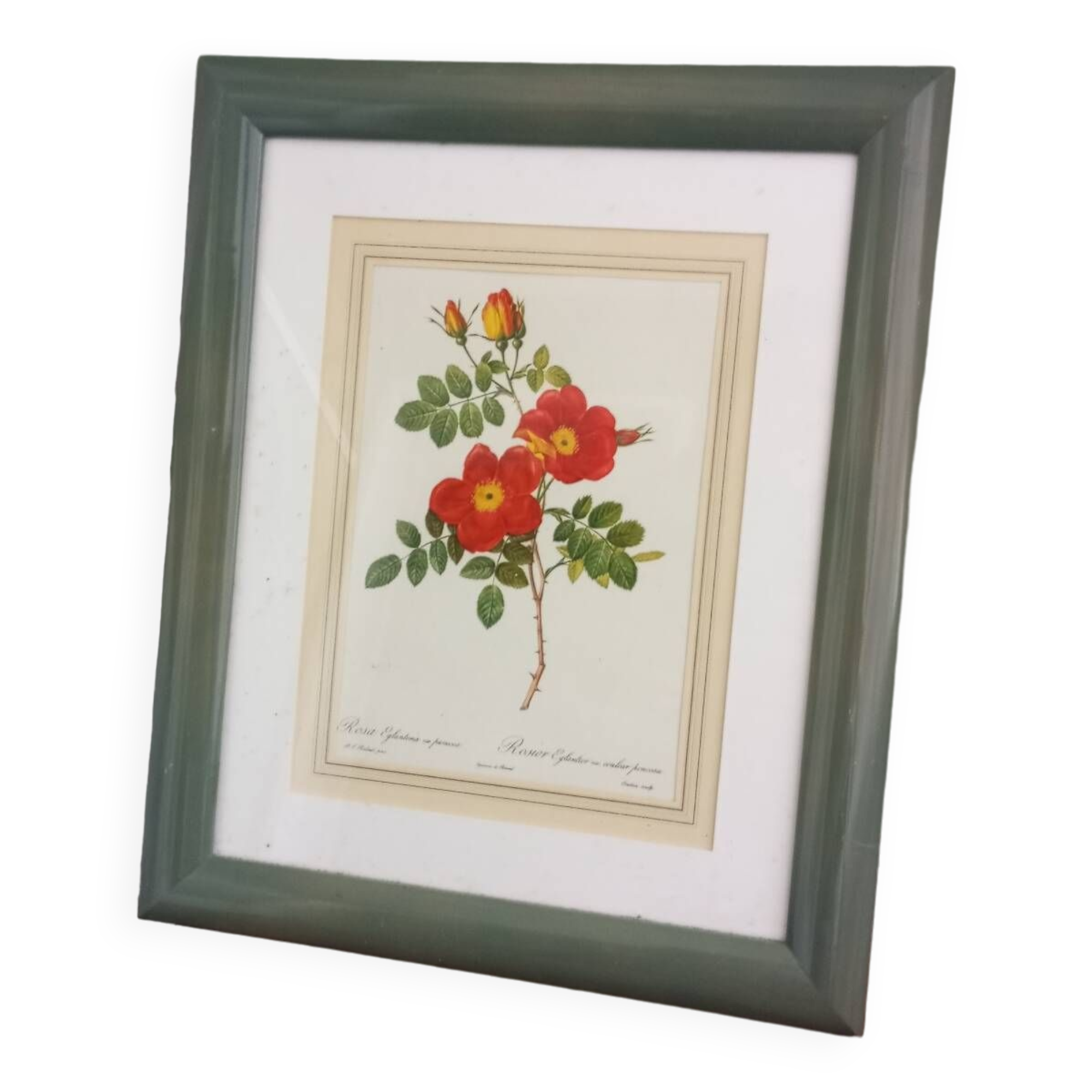 Small pink botanical board