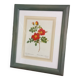 Small pink botanical board