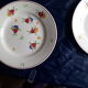 6 earthenware plates from Gien model Val de Loire hand-painted diam 21.5 cm