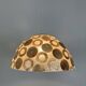 Vintage mother-of-pearl and resin pendant light, 1970s