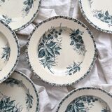 6 deep plates in Badonviller “Mûre” ironware