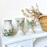 Herbarium sandstone vases