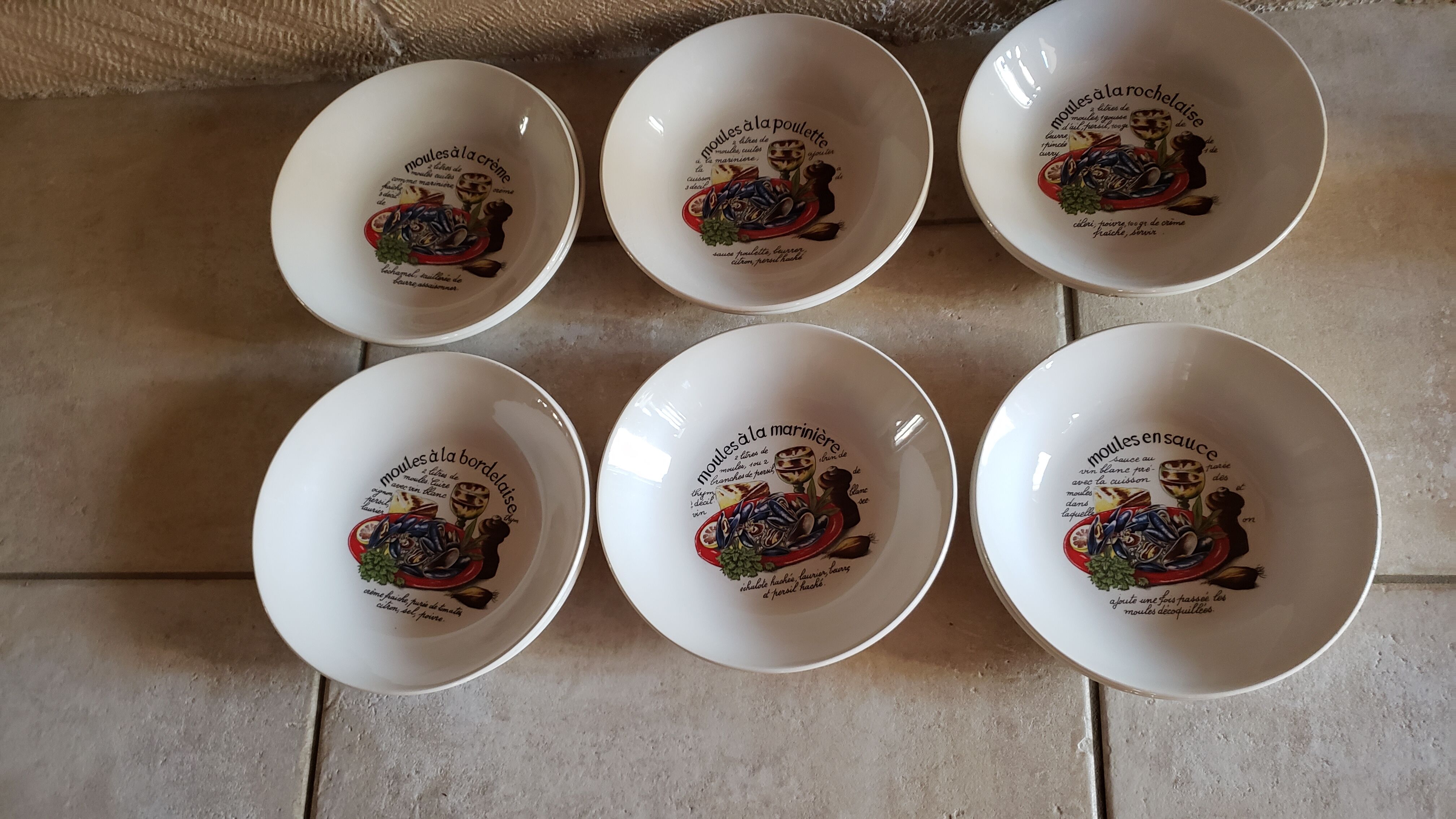 Mold service 12 people