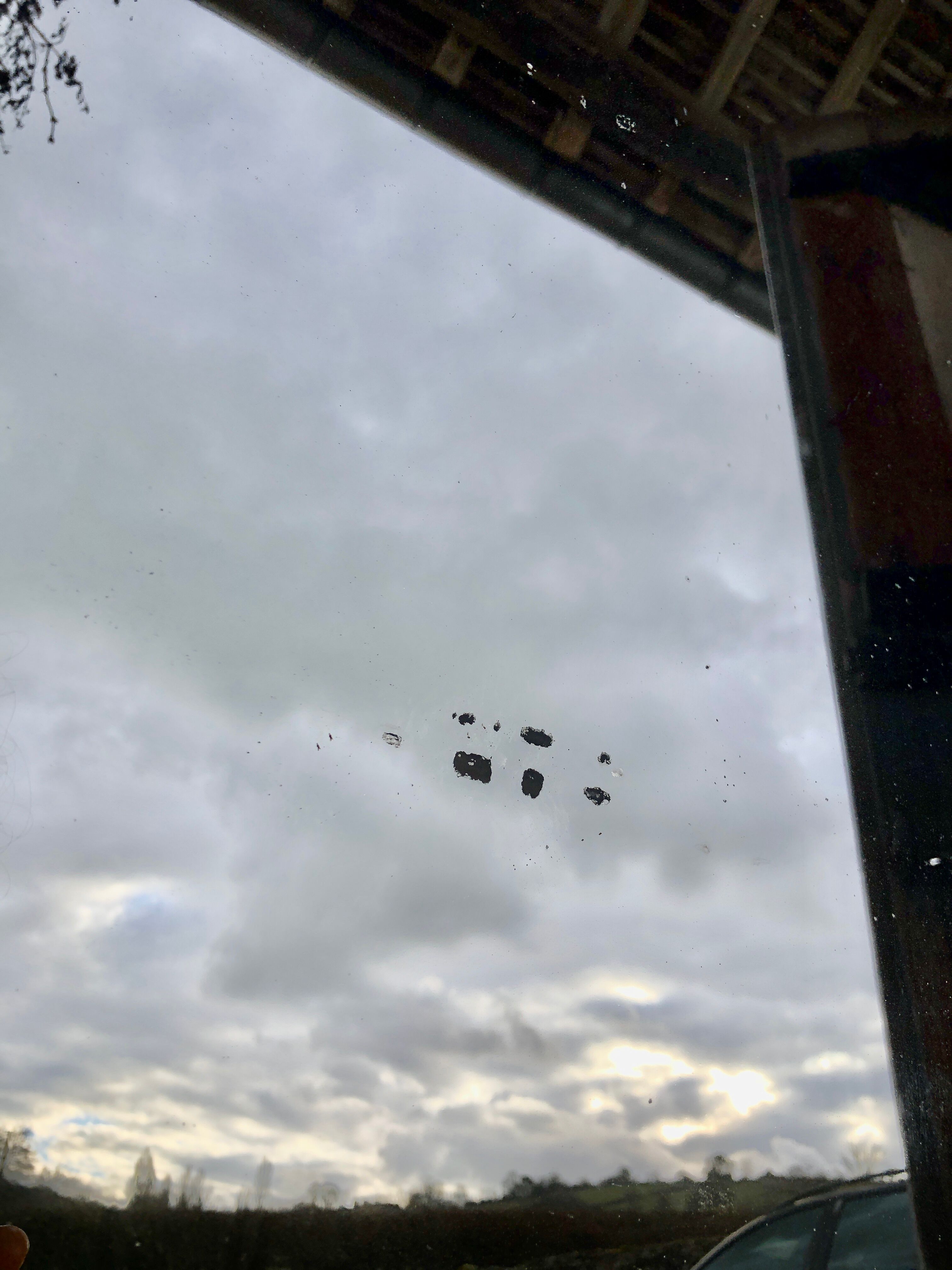 Mirror Louis Philippe 140x95