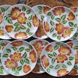 Lot 10 assiettes plates Ontario