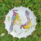 Bird Plate 🐦