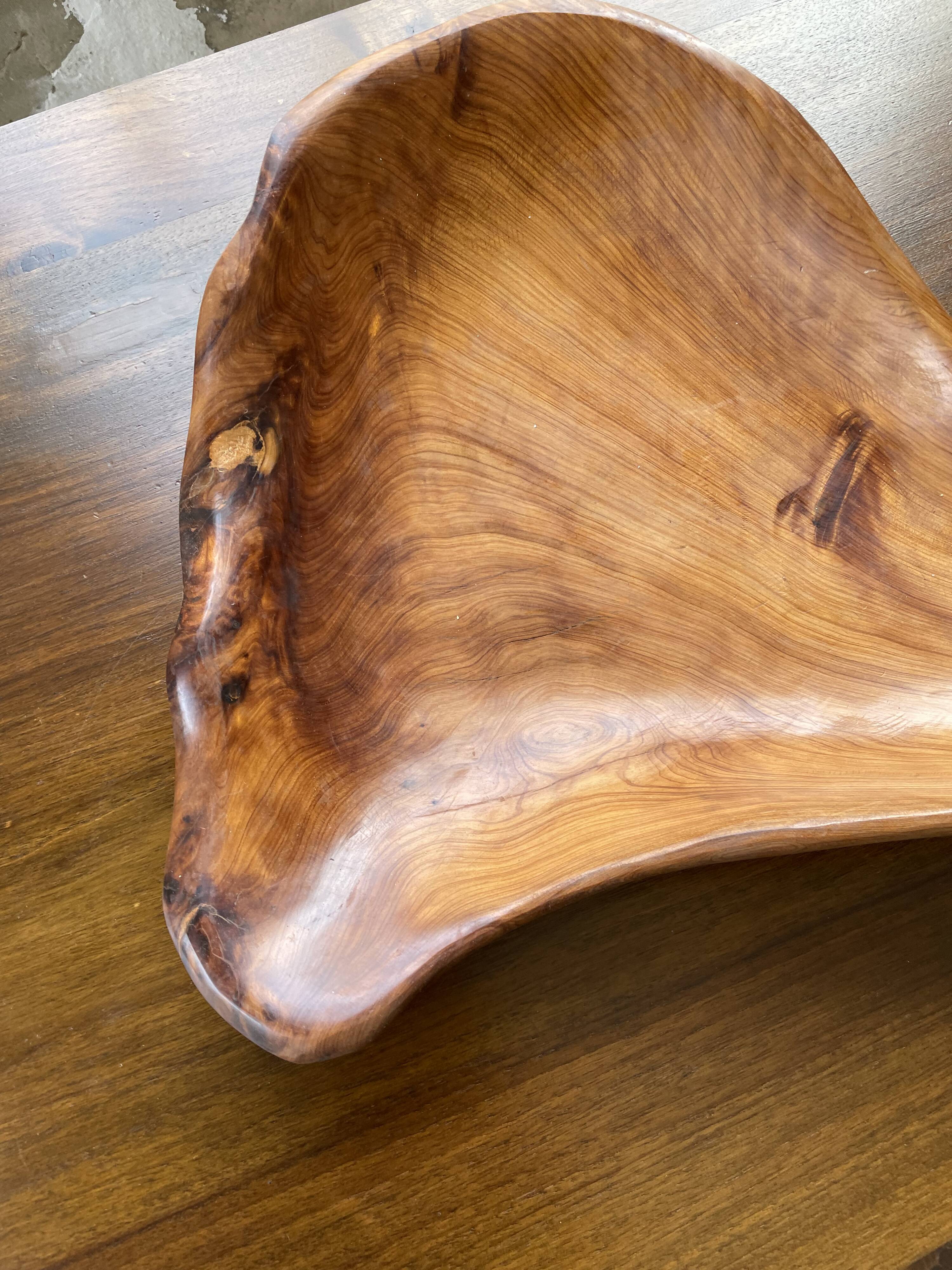 XL thuja root wooden dish