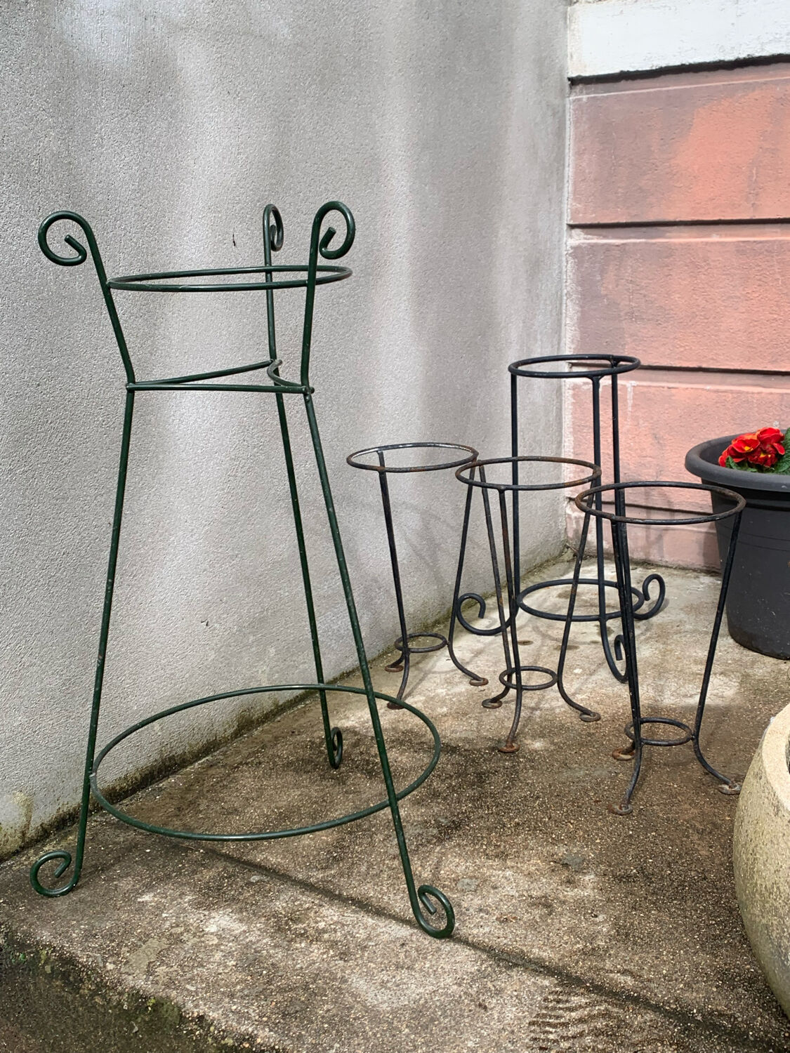 Wrought iron plant support/door