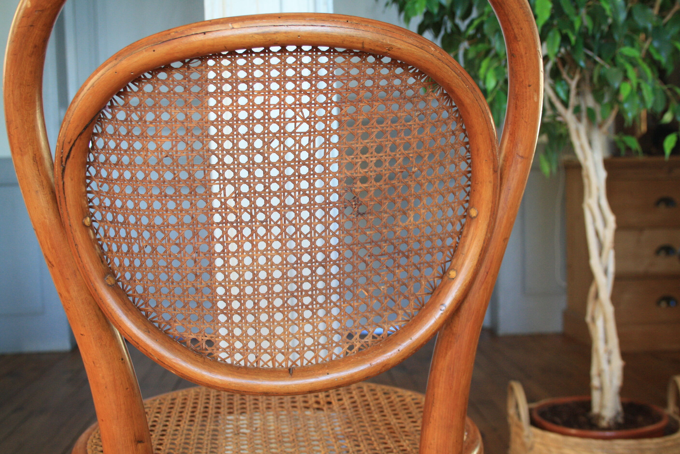 Chaise Thonet N°15 cannée