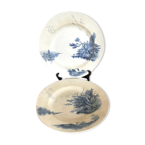 Deux plats terre de fer