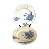 Two iron earth dishes