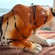 Tiger, Italian sculpture in glazed ceramic.
