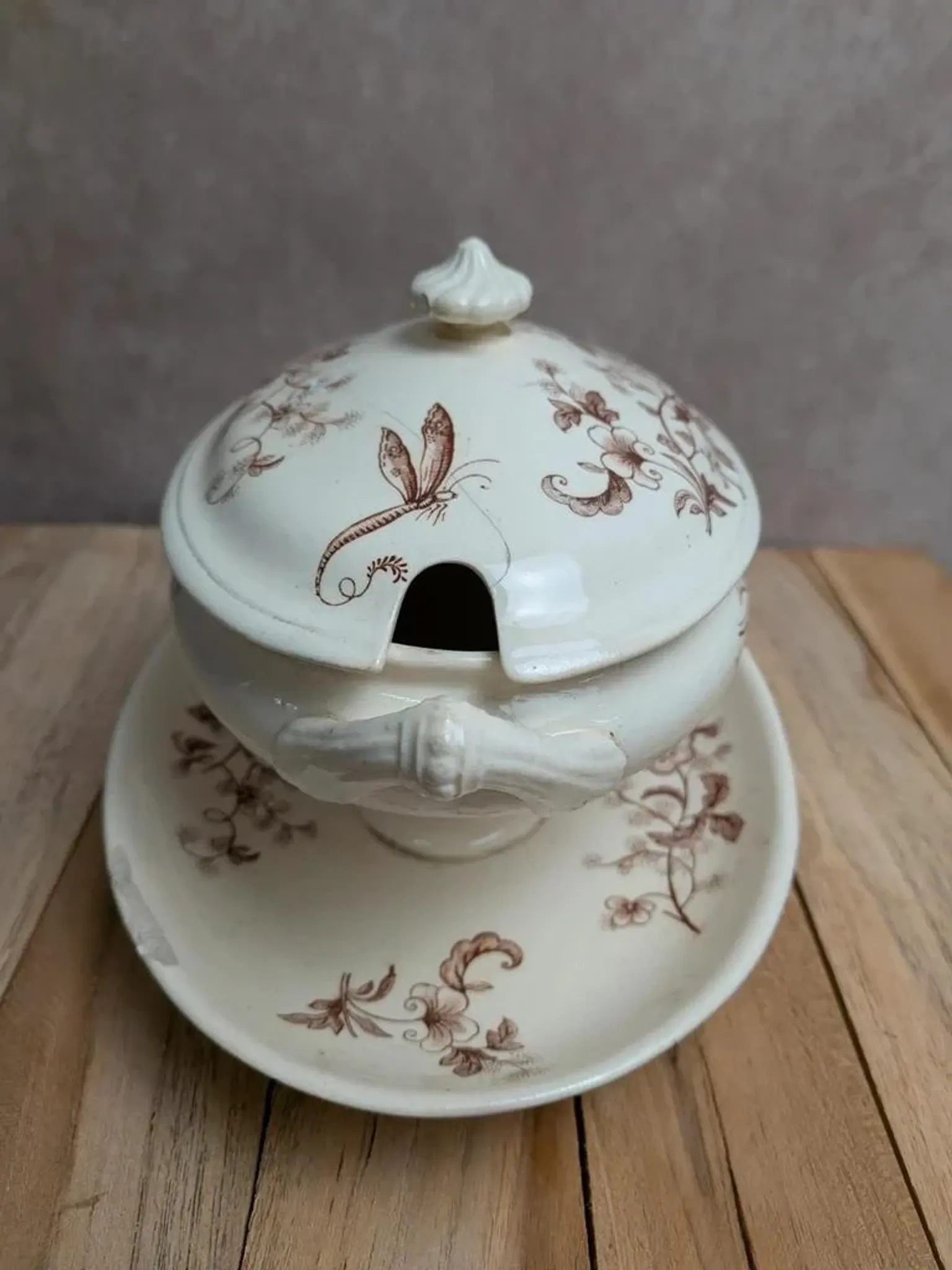 Antique sauce boat in ironstone from Salins – Sepia dragonfly decoration – With lid