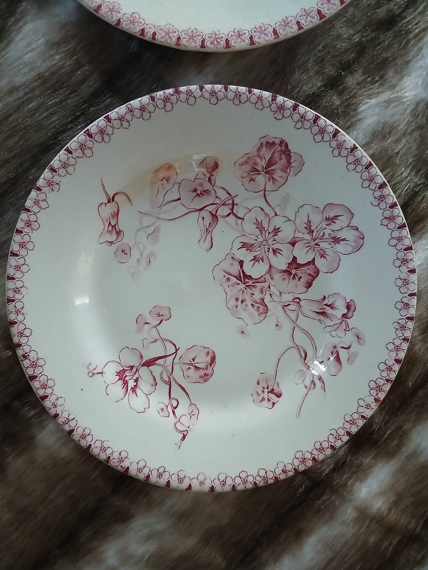 20 mismatched antique flat plates in ironstone