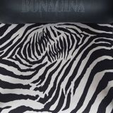 Astoria HB lounge chair by Franco Bizzozzero for Bonacina Pierantonio, 1999