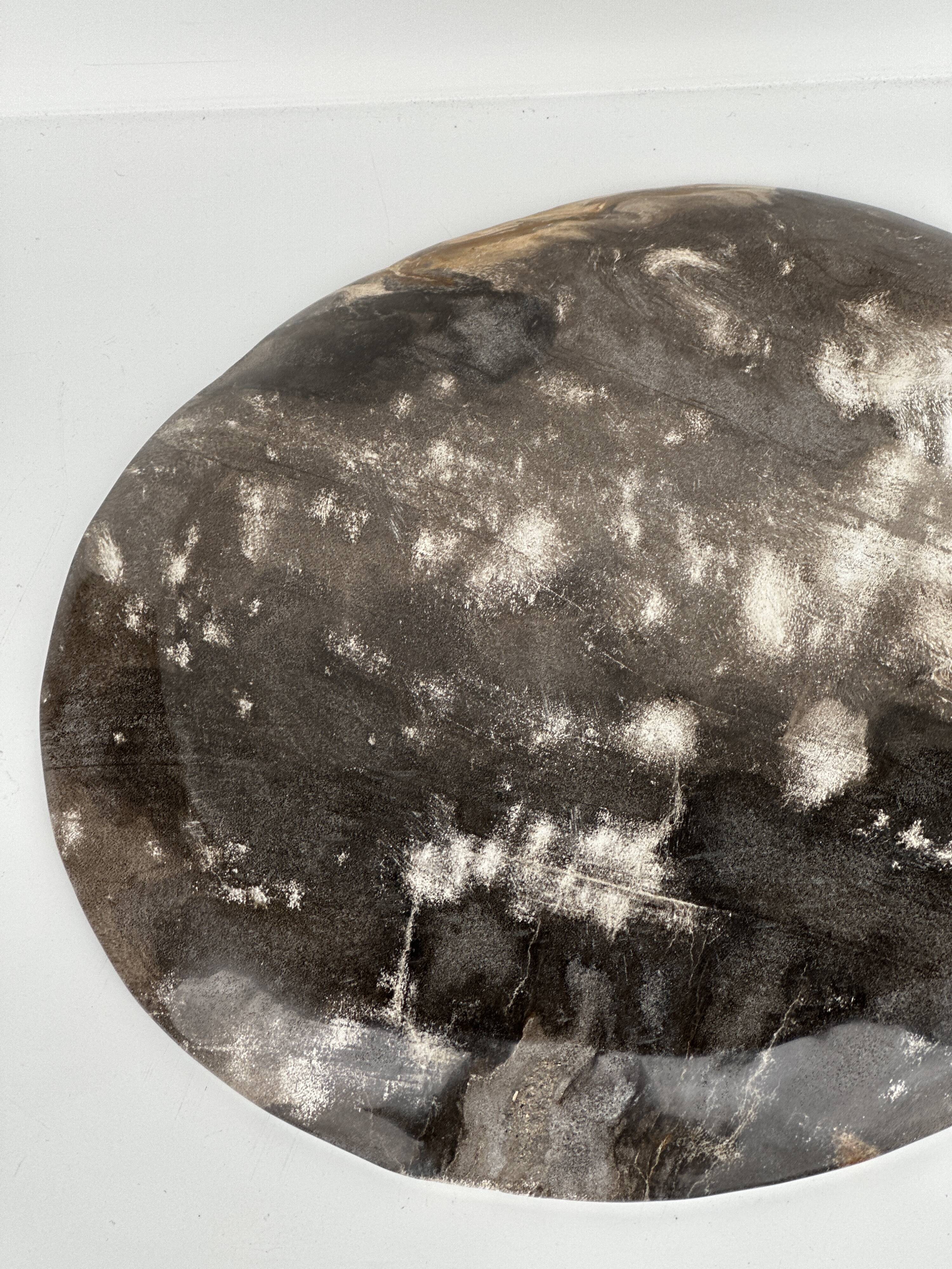 Dish in petrified wood