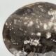 Dish in petrified wood