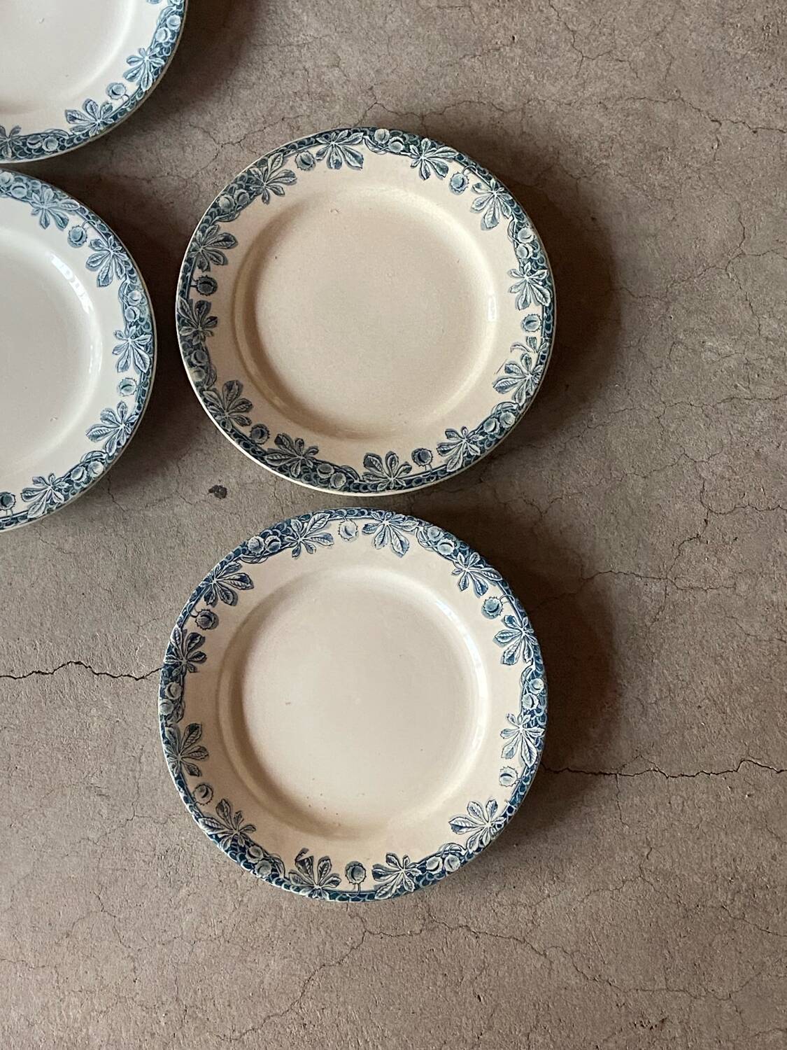 Set of six flat plates Terre de fer, Savoie model