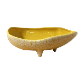 Yellow dish 50