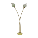 Mid-century Floor Lamp by  Kamenicky Senov,1950‘s.