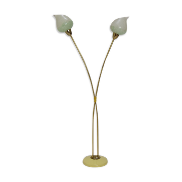 Mid-century Floor Lamp by  Kamenicky Senov,1950‘s.