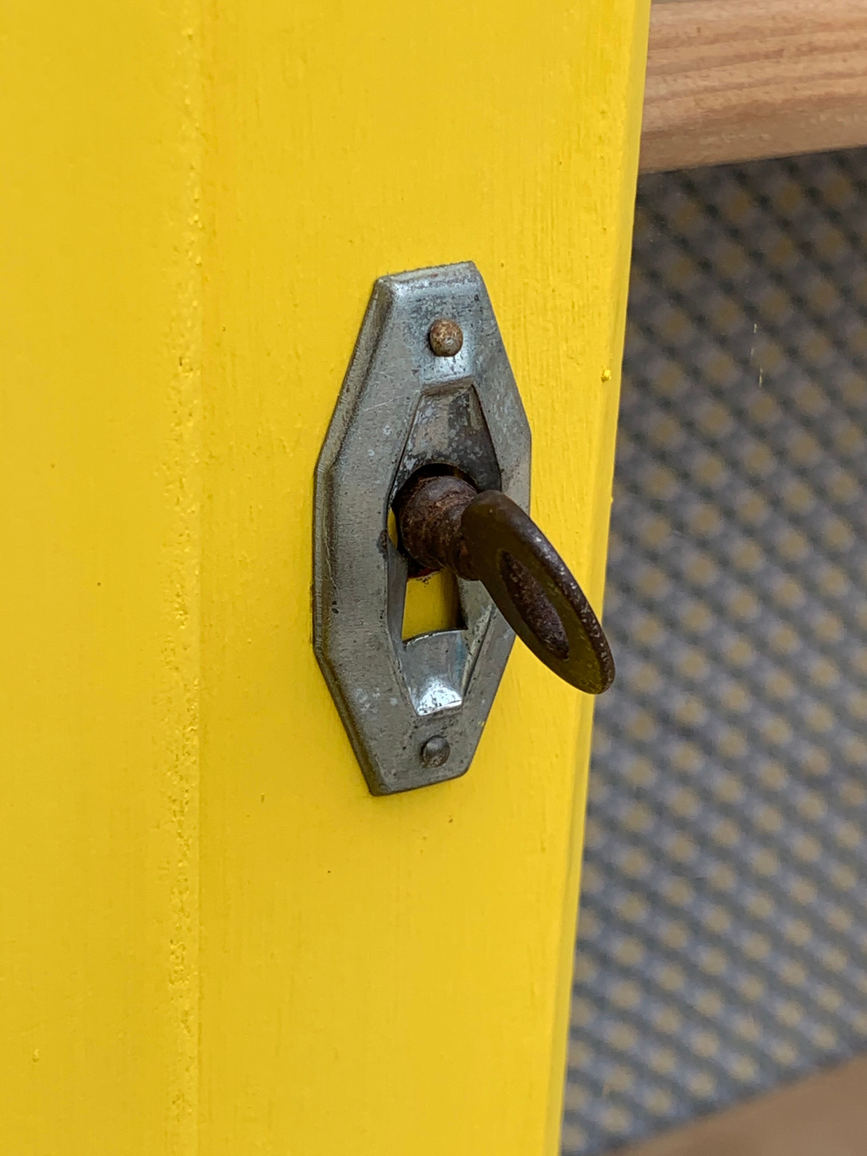 Glass-glazed Parisian wardrobe 1950