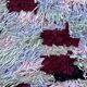 Tapis Berbère Boucherouite coloré - 77 x 239 cm